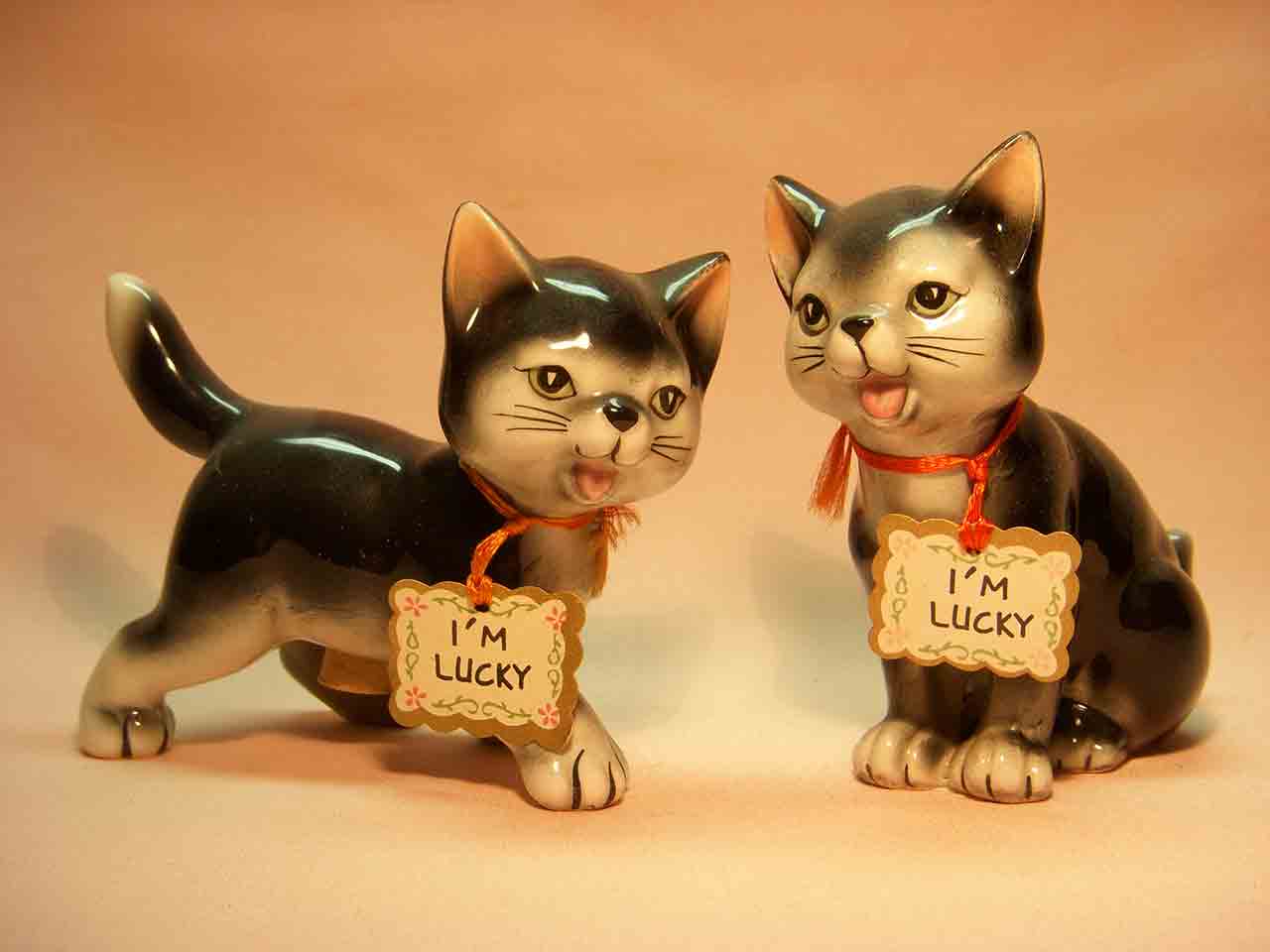 Kittens by Karen - cat salt and pepper shakers - "I'm Lucky"